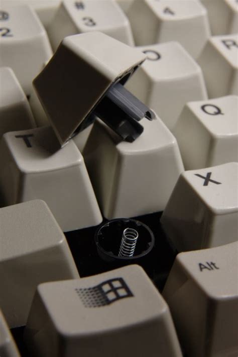 Spring Force 的图像结果