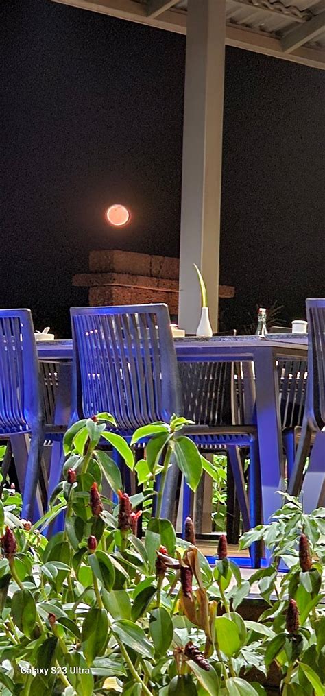 KIREINA WELLNESS RESORT (Kadoli) - Resort Reviews, Photos, Rate ...