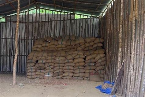 Massive areca nut smuggling racket busted in northeast, 60,000 kg seized