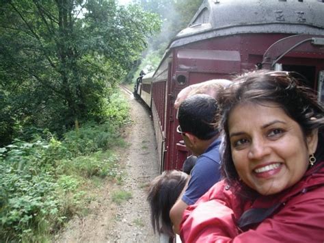 Buy Maya Saves the Day (hOle books) [Paperback] Meera Nair and Priya ...