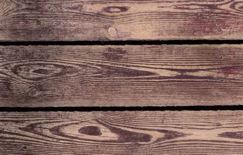 Wallpaper tree, color, Board for mobile and desktop, section текстуры ...