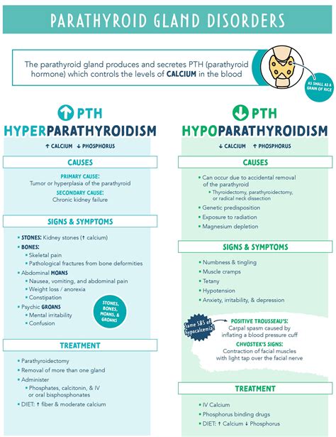 Parathyroid Gland Disorders - Hyperparathyroidism vs Hypoparathyroidism—Causes, Symptoms, Labs ...