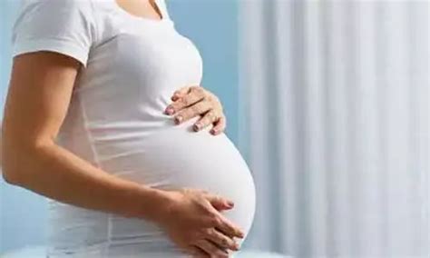 Obesity during pregnancy may interfere with brain development in child ...