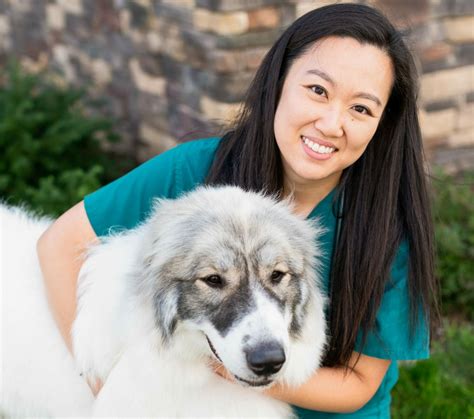 Dr. Karen Park - Mountain View Animal Emergency