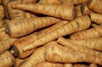 parsnip in Deutsch - Englisch-Deutsch | Glosbe