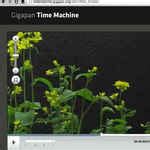 Google launches the closest thing to a real time machine