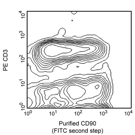 Purified Mouse Anti-Rat CD90/Mouse CD90.1