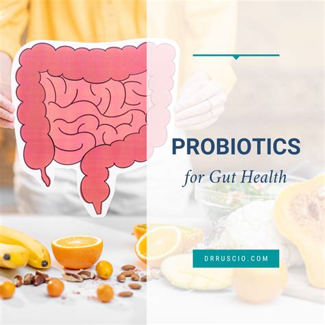 Probiotics for Gut Health - Dr. Michael Ruscio, DC