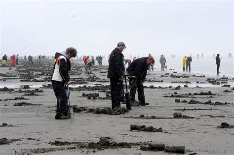 Image result for Razor Clam Digging