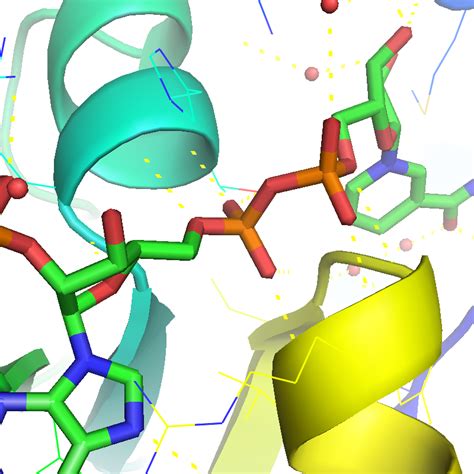 Image result for PyMOL Ray Tracing
