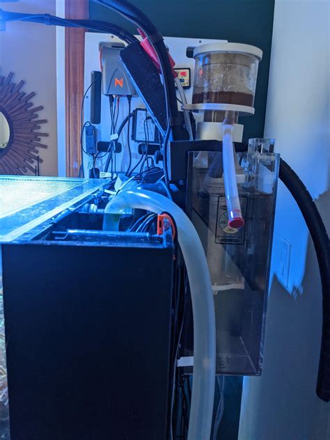 Waterbox 35.2 AIO Build - 1.5 year update : r/ReefTank