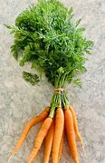 Image result for Carrot Pastries
