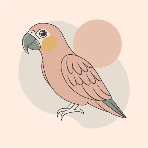 Image result for Simple Parrot Cartoon Drawing