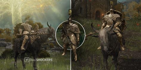 Image result for Tree Sentinel Armor Review