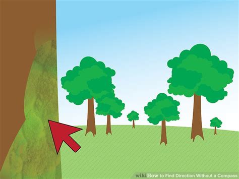 Image result for How to Tell Direction without Compass