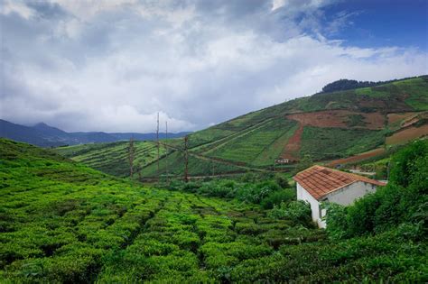 22 Best Places to Visit in India in March (2026 Guide)