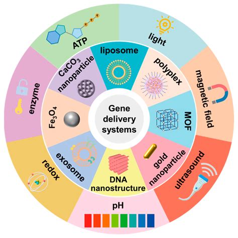 Advances and Challenges of Stimuli-Responsive Nucleic Acids Delivery ...