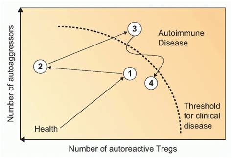 Autoimmunity 的图像结果