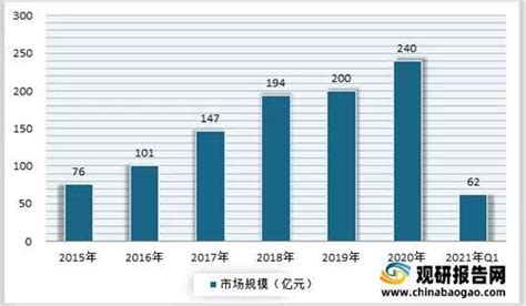 2021年中国清洁电器行业分析报告-行业现状调查与未来动向研究_市场
