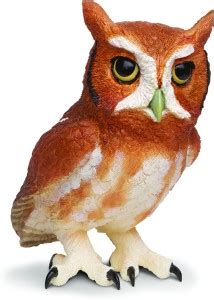 Safari Ltd Ic Eastern Screech Owl - Ic Eastern Screech Owl . Buy Owls ...