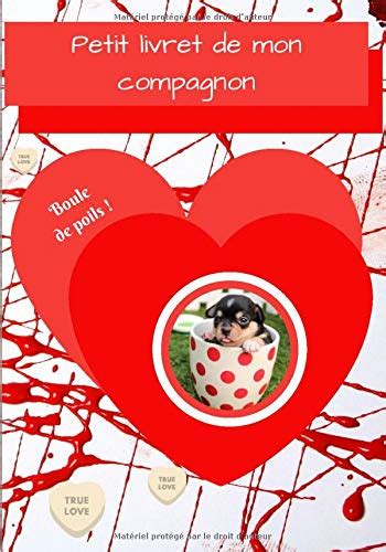 Buy Petit livret de mon compagnon: Mieux connaître son animal avec ce ...