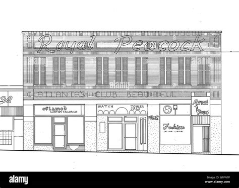 Royal peacock club High Resolution Stock Photography and Images - Alamy