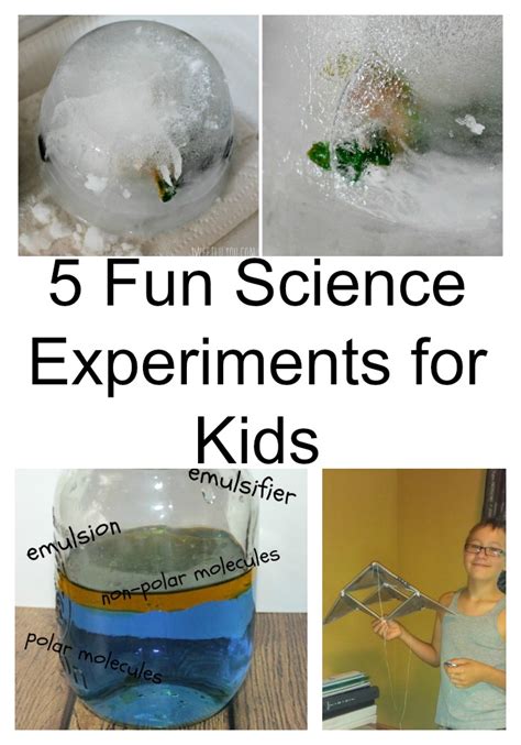 Experiments for Fun 的图像结果