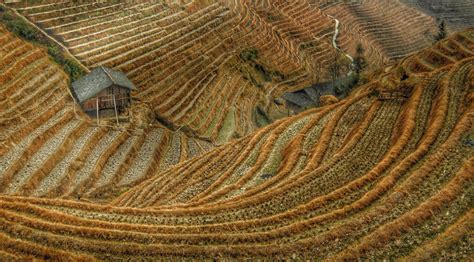 What Is a Contour Survey? - Pigeon Innovative Solutions