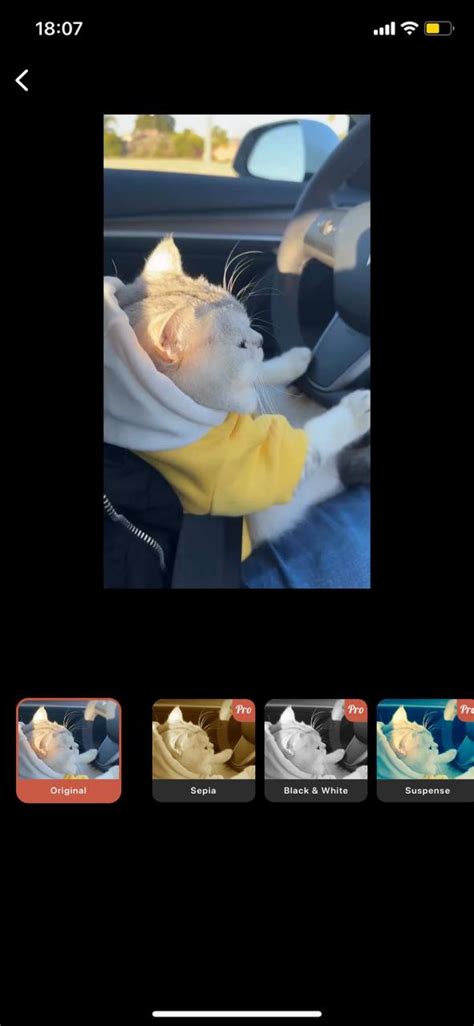 Image result for Video Loop Software