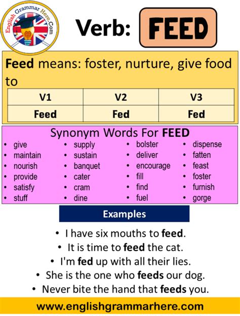 Feed Past Simple, Simple Past Tense of Feed Past Participle, V1 V2 V3 ...