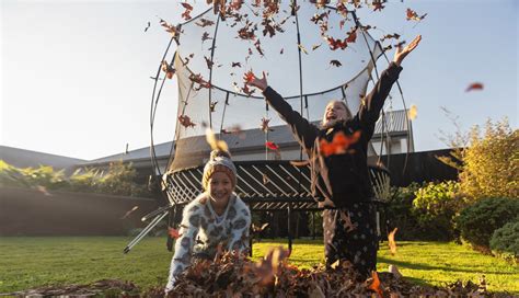 Image result for Springfree