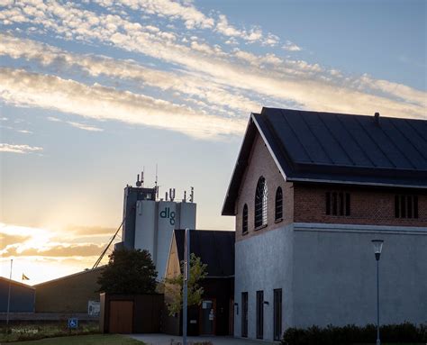 THE BEST Ringe Escape Rooms (Updated 2024) - Tripadvisor