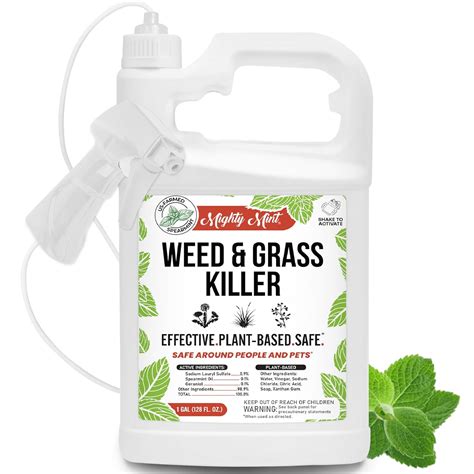 Amazon.com : Weed & Grass Killer – Natural Vinegar & Salt Weed Killer ...