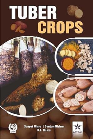 Buy Tuber Crops Book Online at Low Prices in India | Tuber Crops ...