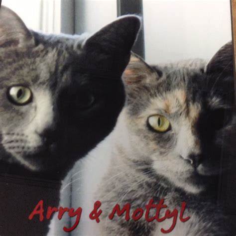 Client & Employee Pet of the Month! | Read More | June