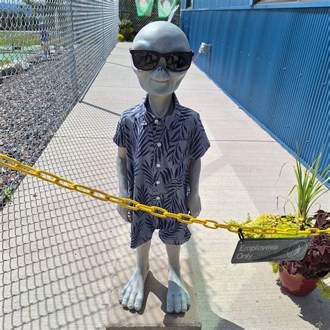 PURPLE CAR COFFEEHOUSE & CAFE, Proctor - Restaurant Reviews, Phone ...