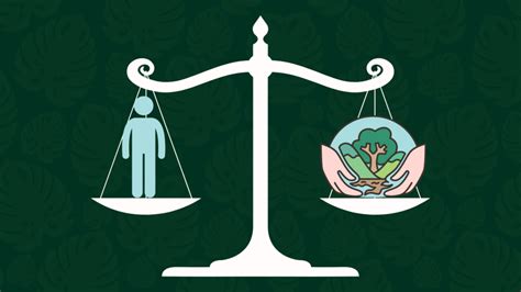 Image result for Environmental Ethics Example