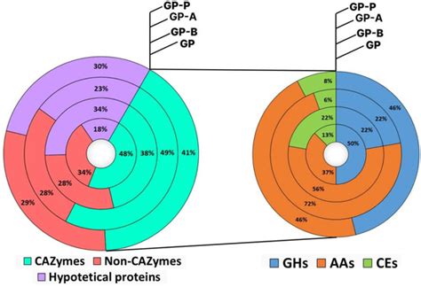 JoF | Special Issue : Fungal Metabolomics and Genomics
