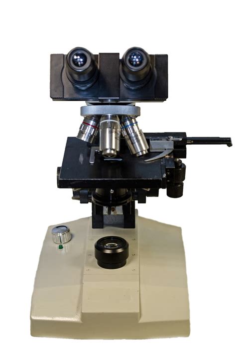 Microscope Diatom 的图像结果