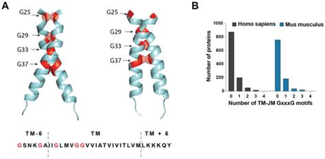 Structural Determinant of β-Amyloid Formation: From Transmembrane ...