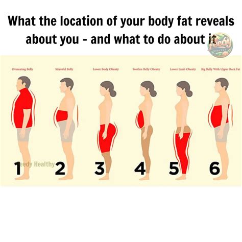 6 Types of Body Fat and How to Effectively Get Rid of Them