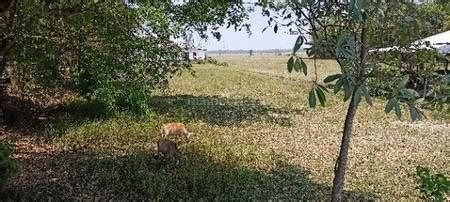 1 Bigha Residential Plot & Land for Sale in Digboi,Tinsukia | Posted by ...