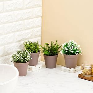amazon basics Artificial Plants with Pot| Realistic Look|Durable ...