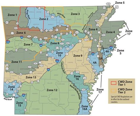 Arkansas Deer Hunting Season: Tips for a Successful Hunt - The Deer Hunting