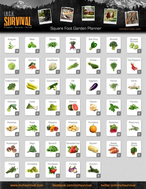Square Foot Gardening Printable Companion Planting Chart - Educational ...