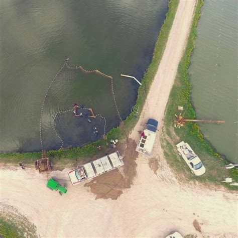 #usaquaculture #aquaculture #fishfarming #arkansasfarms #sportfishing # ...