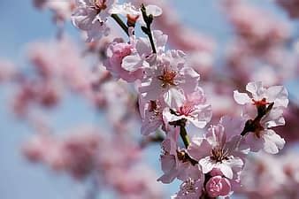 Image result for HTML Format for Text Generation