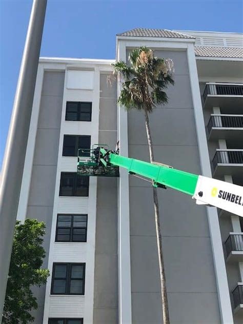 High-Rise Building Painting 的图像结果