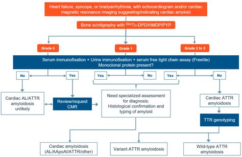 Best Practices in Nuclear Imaging for the Diagnosis of Transthyretin Amyloid Cardiomyopathy ...