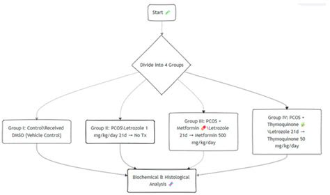 Thymoquinone Versus Metformin in Letrozole-Induced PCOS: Comparative ...